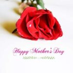 bonitos textos por el Día De La Madre para compartir