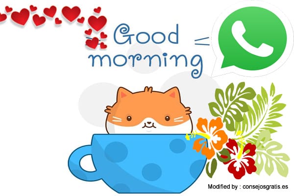 Buscar los mejores mensajes para empezar el día.#MensajesParaEmpezaElDía,#MensajesDeBuenosDíasParaWhatsApp