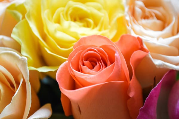 Imagenes de lindos saludos por el Día de la Madre.#TarjetasParaDíaDeLaMadre ,#DíaDeLaMadre,#PoemasParaDíaDeLaMadre